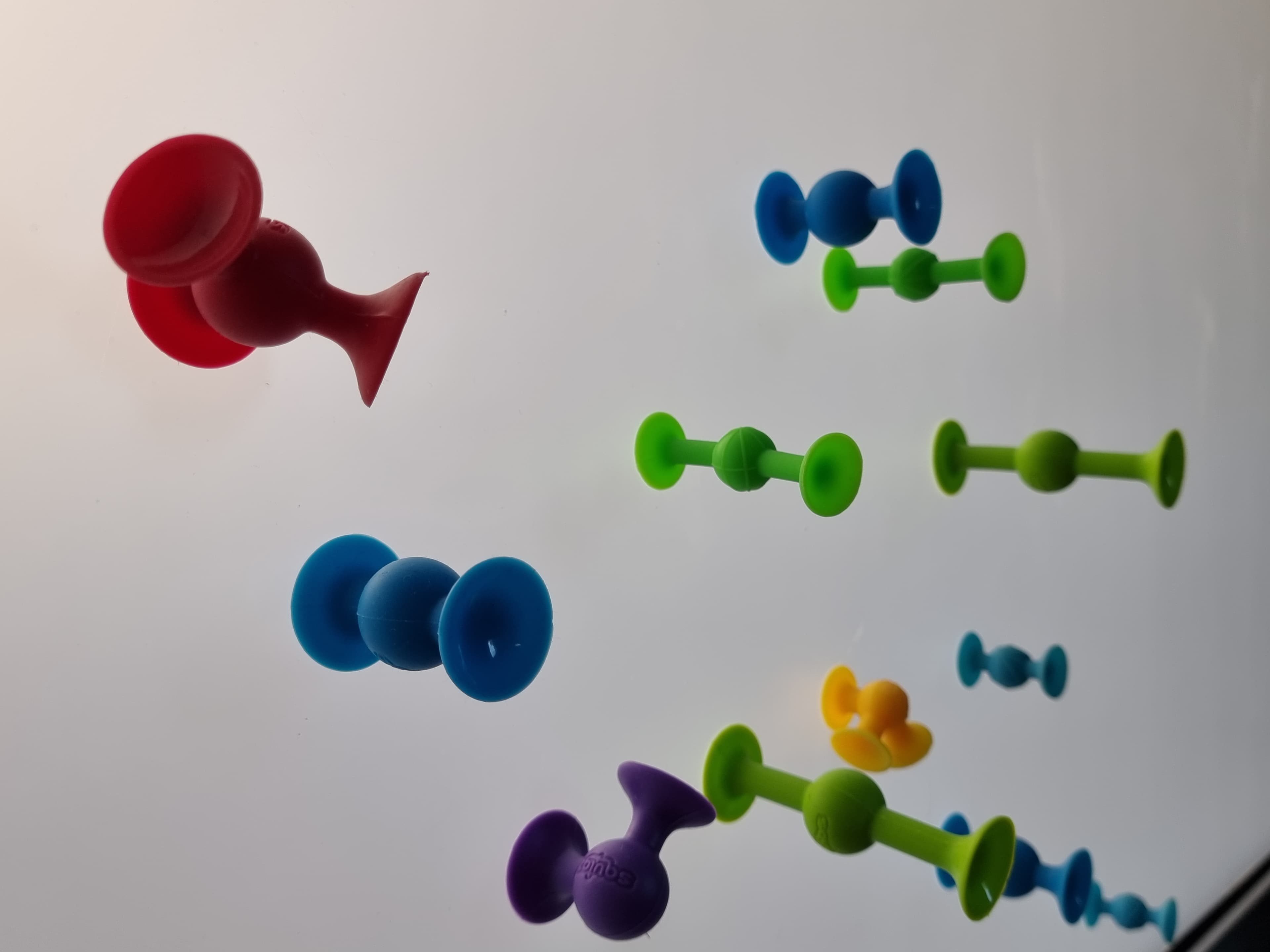 Ventouses collées à la vitre