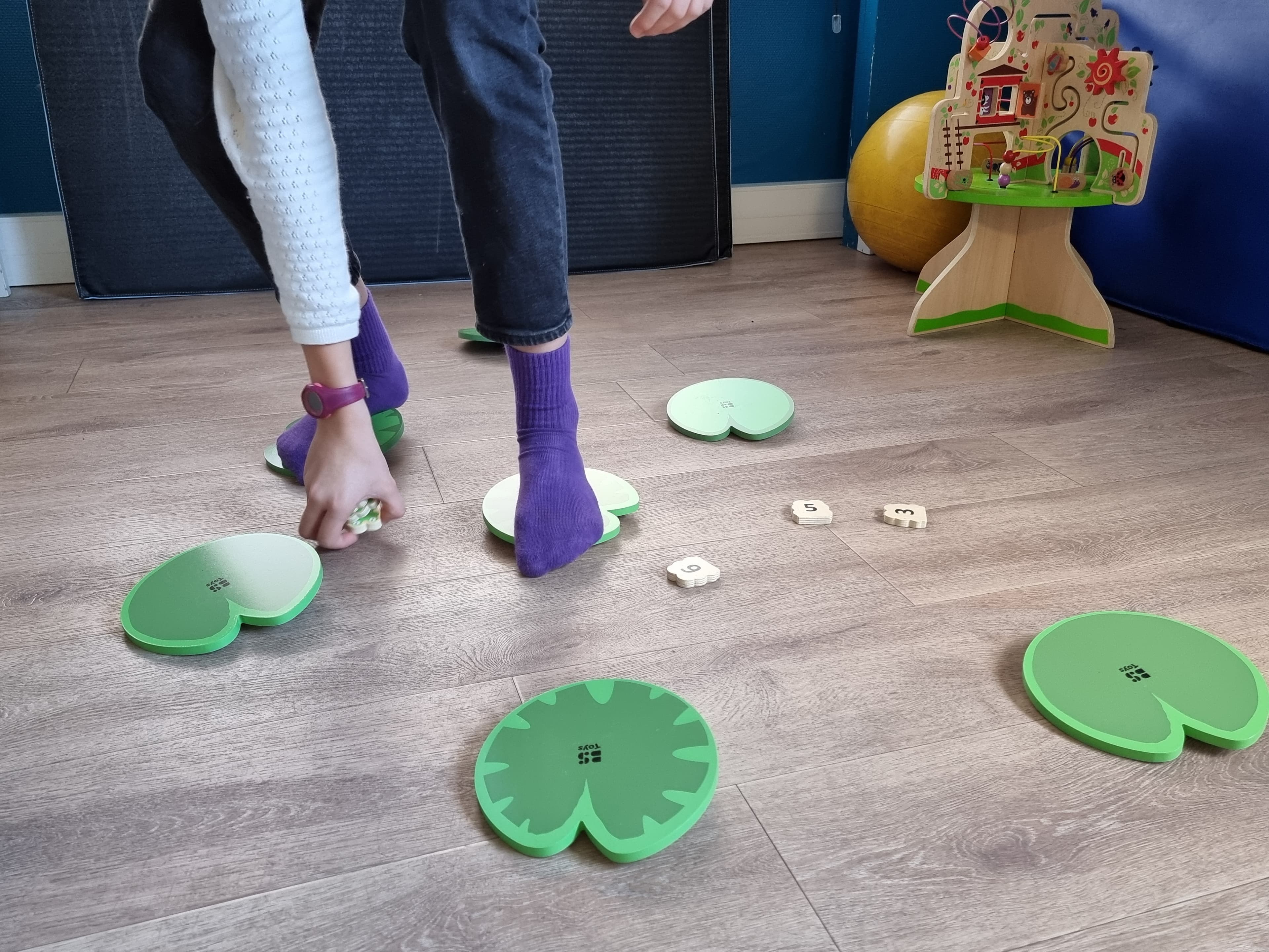 Equilibre sur nénuphar