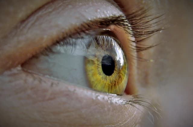Troubles du traitement de l'information sensorielle